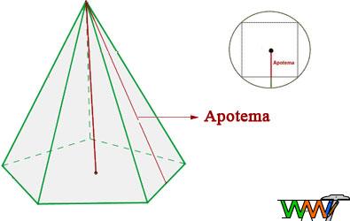 Apotema